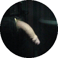 TheBigOne