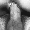 Hyposeed
