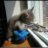 Stalker_Sn