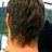 greven66